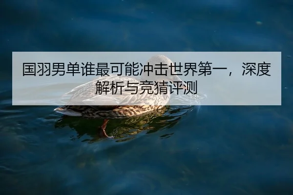 国羽男单谁最可能冲击世界第一，深度解析与竞猜评测