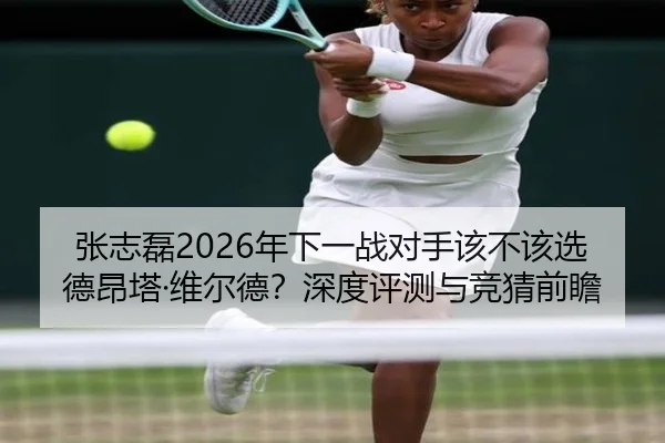 张志磊2026年下一战对手该不该选德昂塔·维尔德？深度评测与竞猜前瞻